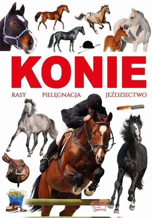 okładka Konie rasy pielęgnacja jeździectwo książka | Joanna Werner