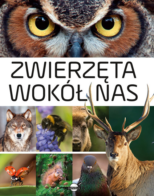 okładka Zwierzęta wokół nas Encyklopedia ilustrowana książka | Anna Skrok