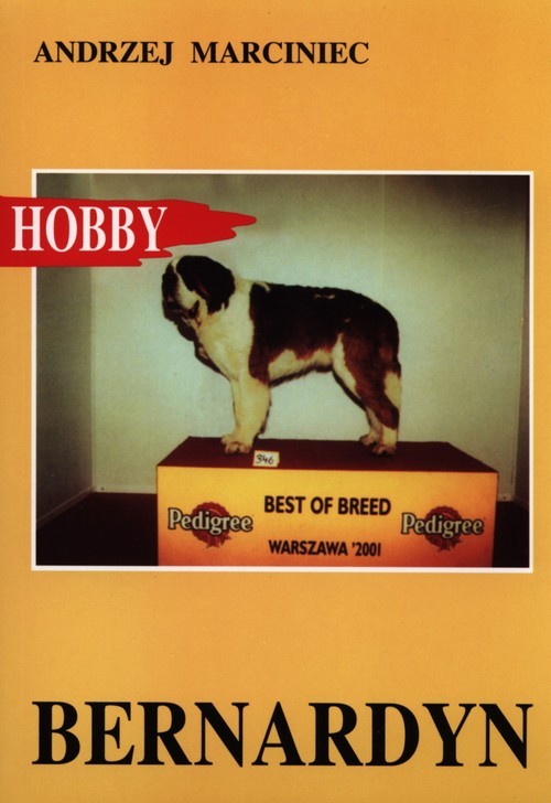 okładka Bernardyn książka | Andrzej Marciniec