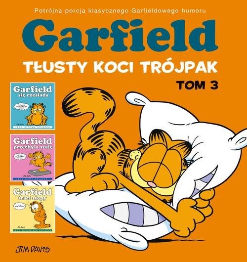 okładka Garfield Tłusty koci trójpak Tom 3 książka | Jim Davis