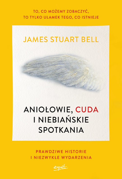 okładka Aniołowie cuda i niebiańskie spotkania Prawdziwe historie i niezwykłe wydarzenia książka | James Stuart Bell
