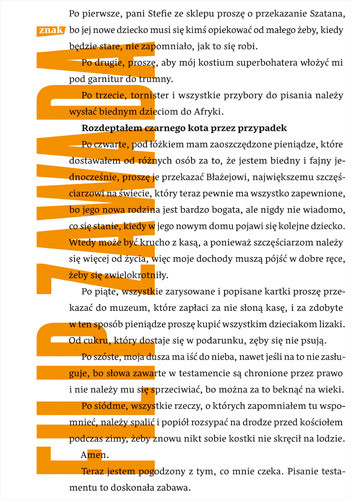 okładka Rozdeptałem czarnego kota przez przypadek książka | Filip Zawada