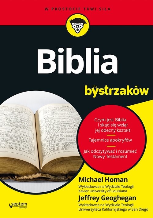 okładka Biblia dla bystrzaków książka | Jeffrey Geoghegan, Michael Homan