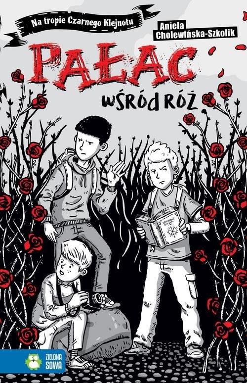 okładka Na tropie Czarnego Klejnotu Pałac wśród róż książka | Aniela Cholewińska-Szkolik