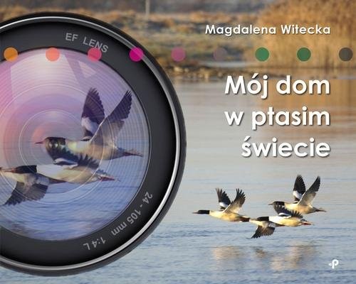 okładka Mój dom w ptasim świecie książka | Witecka Magdalena