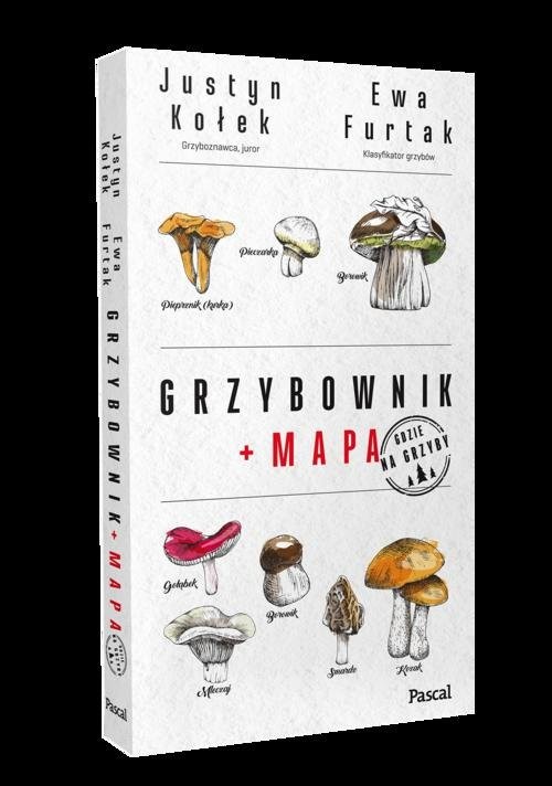 okładka Grzybownik książka | Justyn Kołek, Ewa Furtak