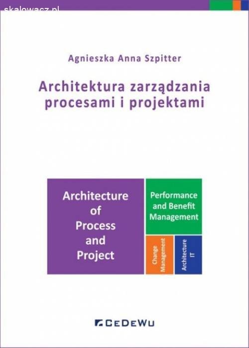 okładka Architektura zarządzania procesami i projektami książka | Agnieszka Anna Szpitter