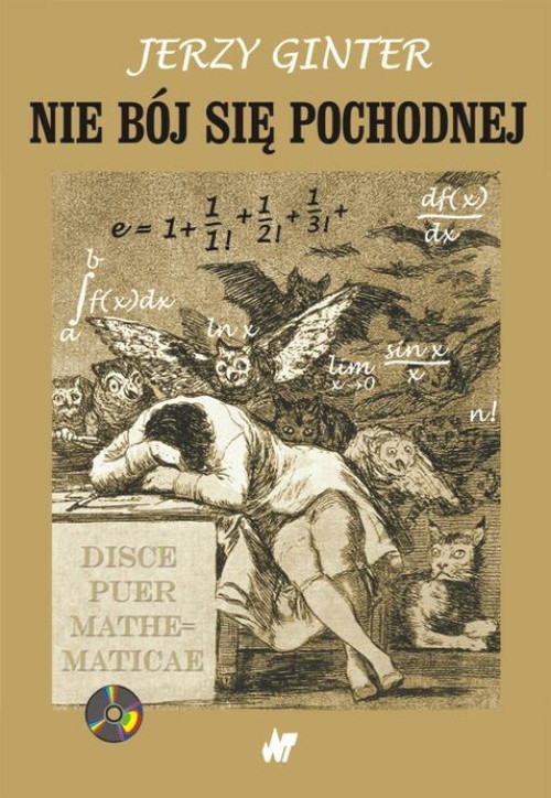 okładka Nie bój się pochodnej książka | Ginter Jerzy