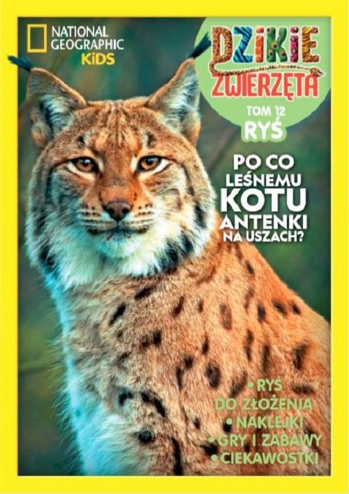 okładka Dzikie Zwierzęta 12 Ryś książka