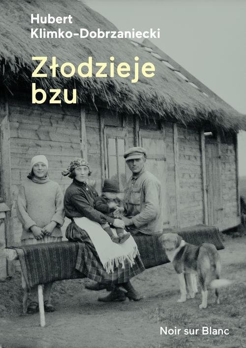 okładka Złodzieje bzu książka | Hubert Klimko-Dobrzaniecki