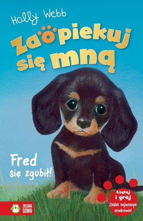 okładka Zaopiekuj się mną Fred się zgubił! książka | Holly Webb