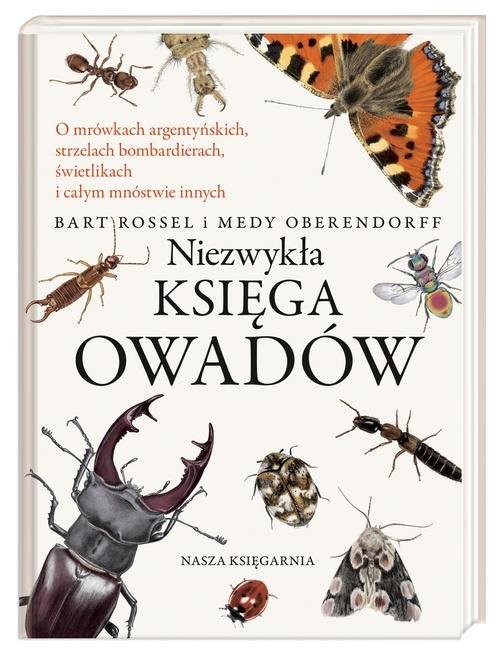 okładka Niezwykła księga owadów książka | Bart Rossel