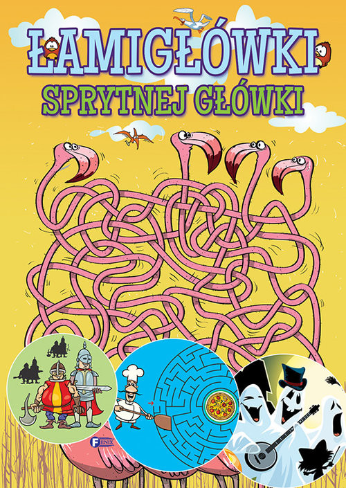 okładka Łamigłówki sprytnej główki książka