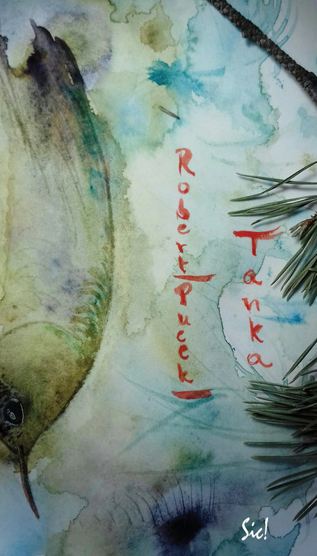 okładka Tanka książka | Robert Pucek