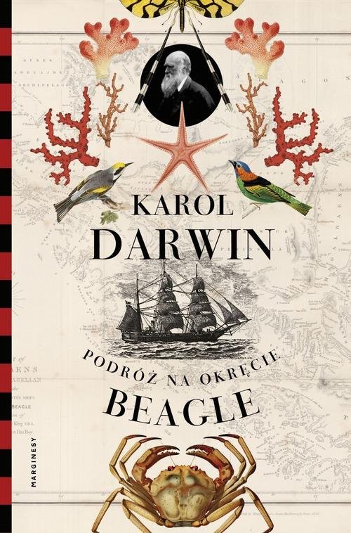 okładka Podróż na okręcie Beagle książka | Darwin Karol