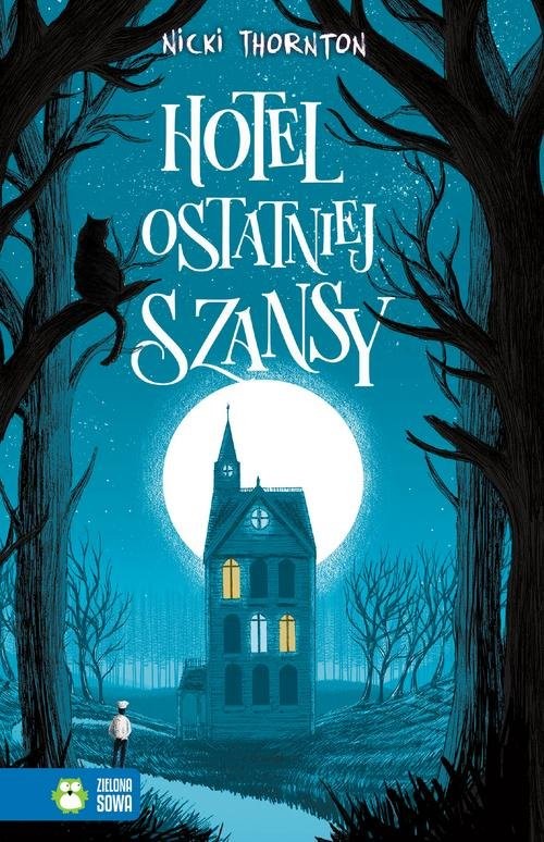 okładka Hotel ostatniej szansy książka | Thornton Nicki