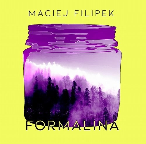 okładka Formalina książka | Filipek Maciej