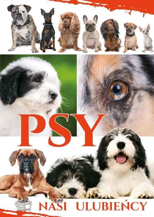 okładka Psy Nasi Ulubieńcy książka | Praca Zbiorowa