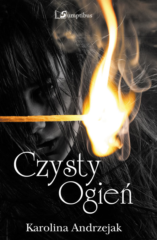 okładka Czysty ogień książka | Karolina Andrzejak
