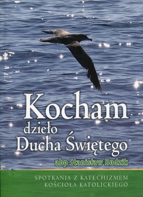okładka Kocham dzieło Ducha Świętego Spotkania z Katechizmem Kościoła Katolickiego książka | Budzik Stanisław