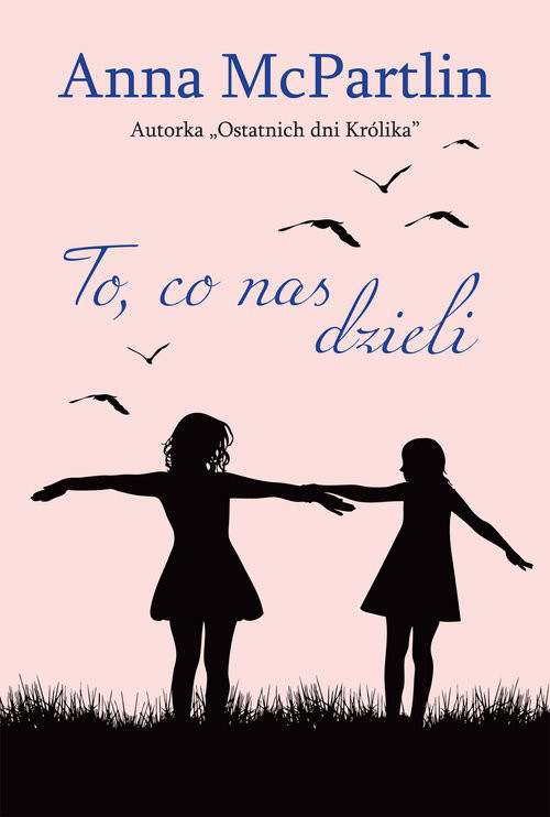 okładka To co nas dzieli książka | Anna McPartlin