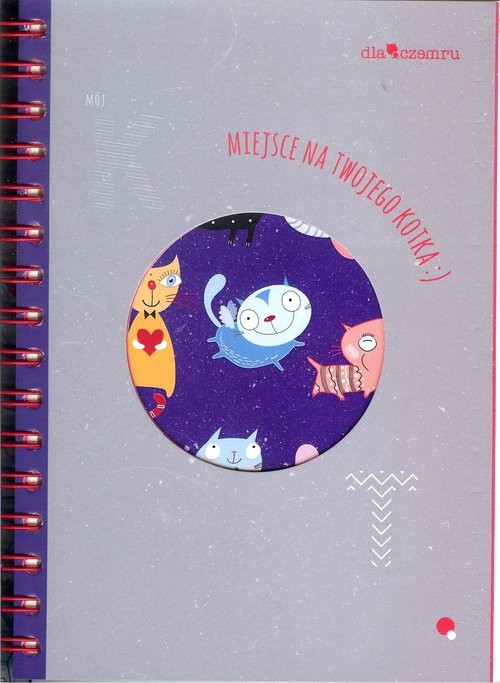 okładka Kotes książka