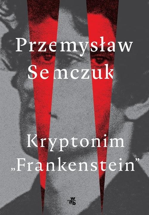 okładka Kryptonim Frankenstein książka | Przemysław Semczuk
