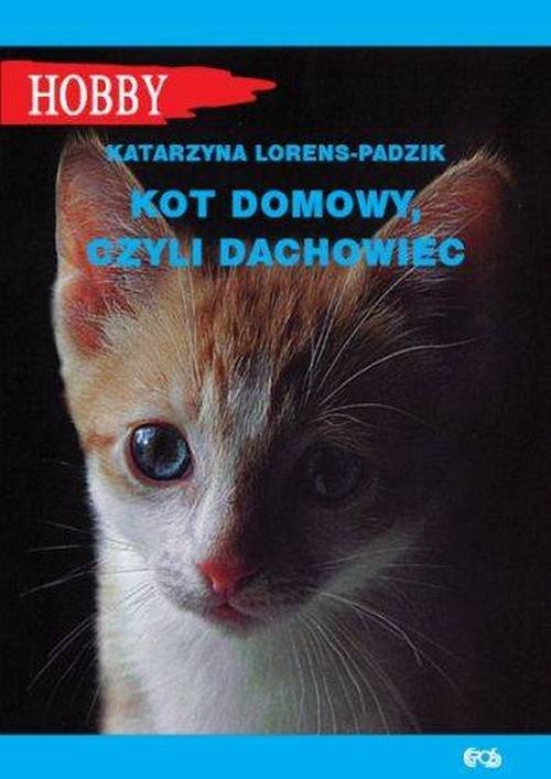 okładka Kot domowy czyli dachowiec książka | Lorens-Padzik Katarzyna
