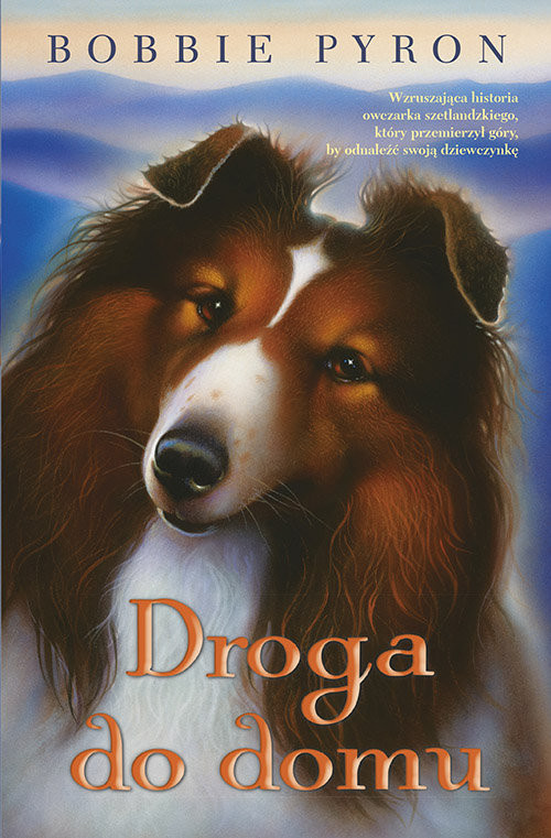 okładka Droga do domu książka | Pyron Bobby