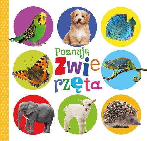 okładka Poznaję zwierzęta książka