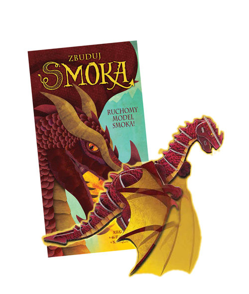 okładka Zbuduj smoka książka