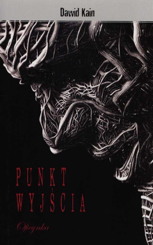 okładka Punkt wyjścia książka | Dawid Kain