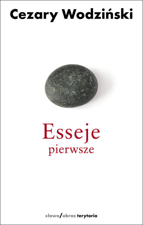 okładka Esseje pierwsze książka | Cezary Wodziński