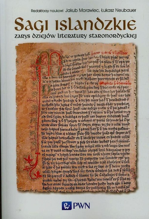 okładka Sagi islandzkie Zarys dziejów literatury staronordyckiej książka