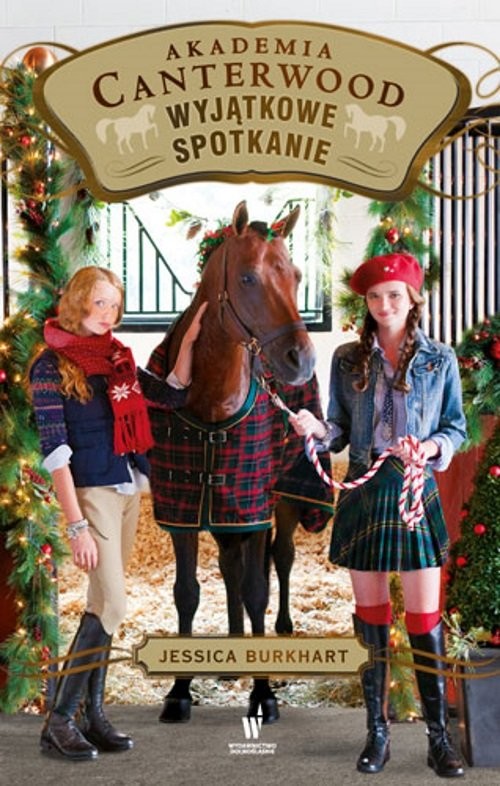 okładka Wyjątkowe spotkanie Akademia Canterwood 20 książka | Jessica Burkhart