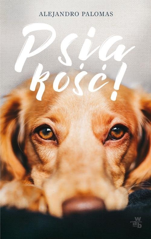 okładka Psiakość! książka | Alejandro Palomas