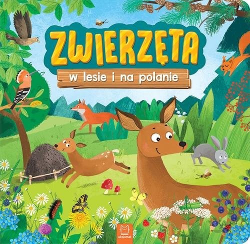 okładka Zwierzęta w lesie i na polanie książka