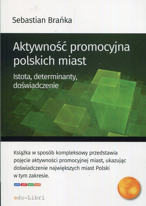 okładka Aktywność promocyjna polskich miast Istota, determinanty, doświadczenie książka | Sebastian Brańka