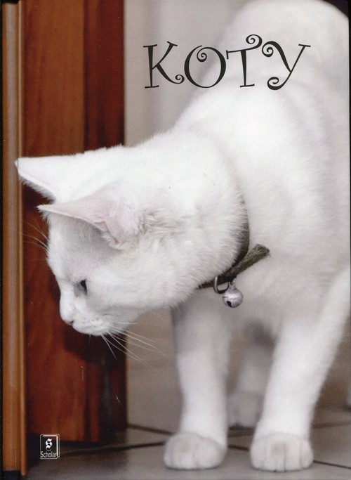 okładka Koty książka | Beata Szymańska