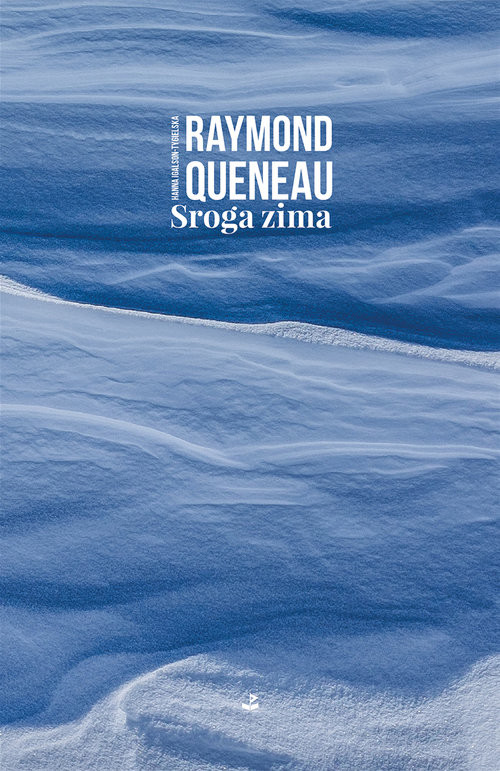 okładka Sroga zima książka | Raymond Queneau