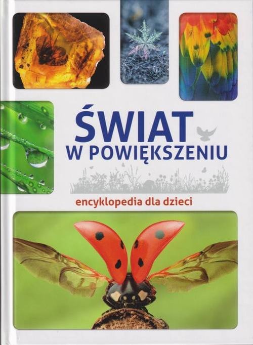 okładka Świat w powiększeniu Encyklopedia dla dzieci / SBM książka | Wałdoch Karolina