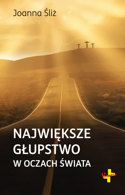 okładka Największe głupstwo w oczach świata książka | Joanna Śliż