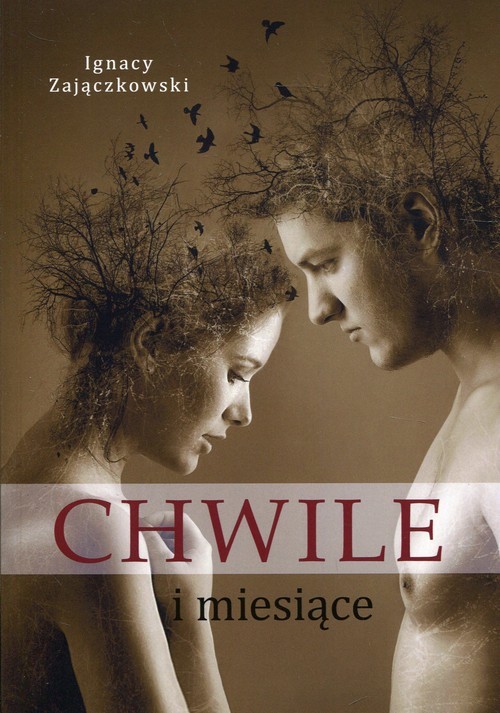 okładka Chwile i miesiące książka | Ignacy Zajączkowski