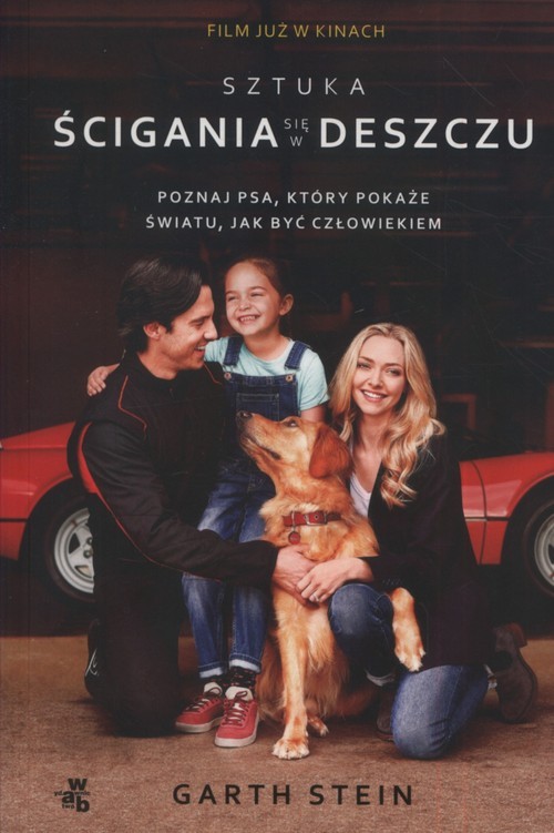 okładka Sztuka ścigania się w deszczu książka | Stein Garth