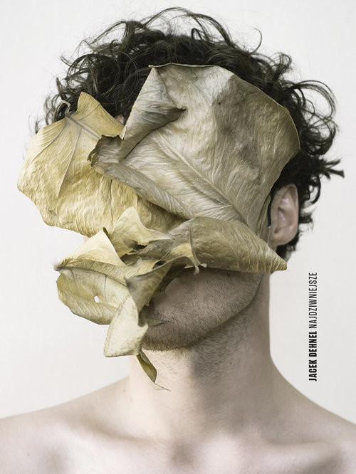 okładka Najdziwniejsze książka | Jacek Dehnel