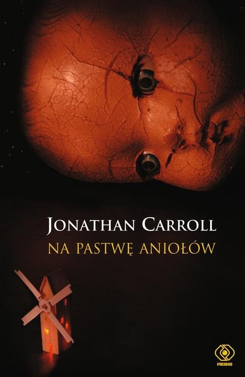 okładka Na pastwę aniołów książka | Jonathan Carroll