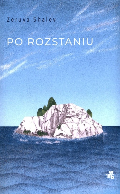 okładka Po rozstaniu książka | Zeruya Shalev