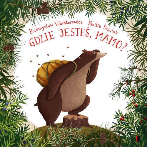okładka Gdzie jesteś, Mamo? książka | Przemysław Wechterowicz
