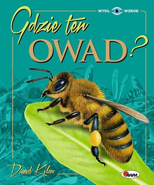 okładka Gdzie ten owad książka | Kilon Dawid