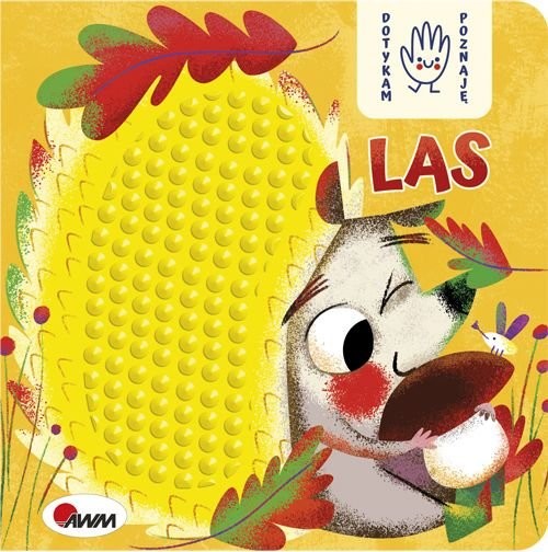 okładka Dotykam poznaję Las książka | Joanna Wisniewska